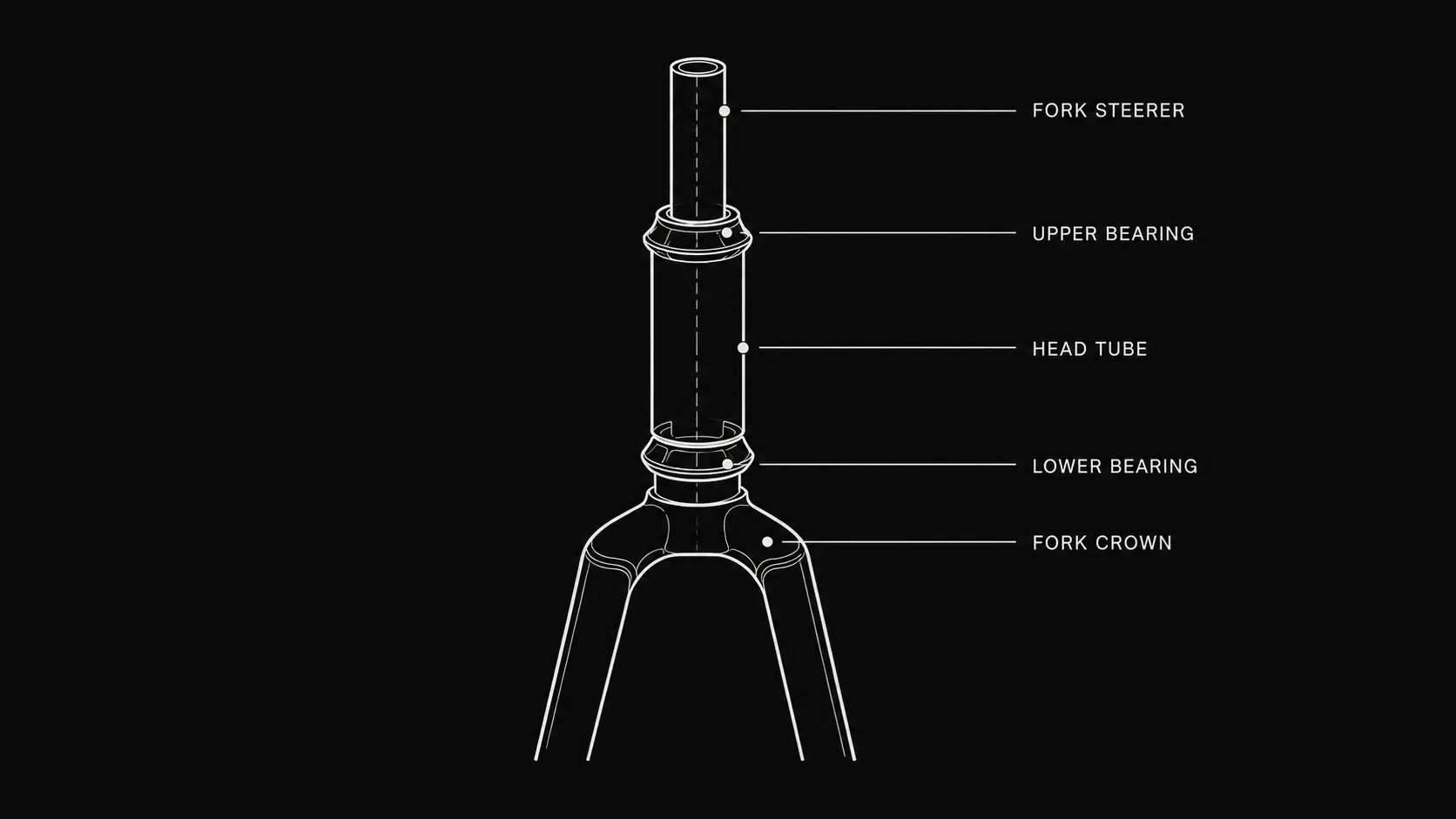 Bicycle frame head tube, headset bearings and fork steerer shown as one compatibility system