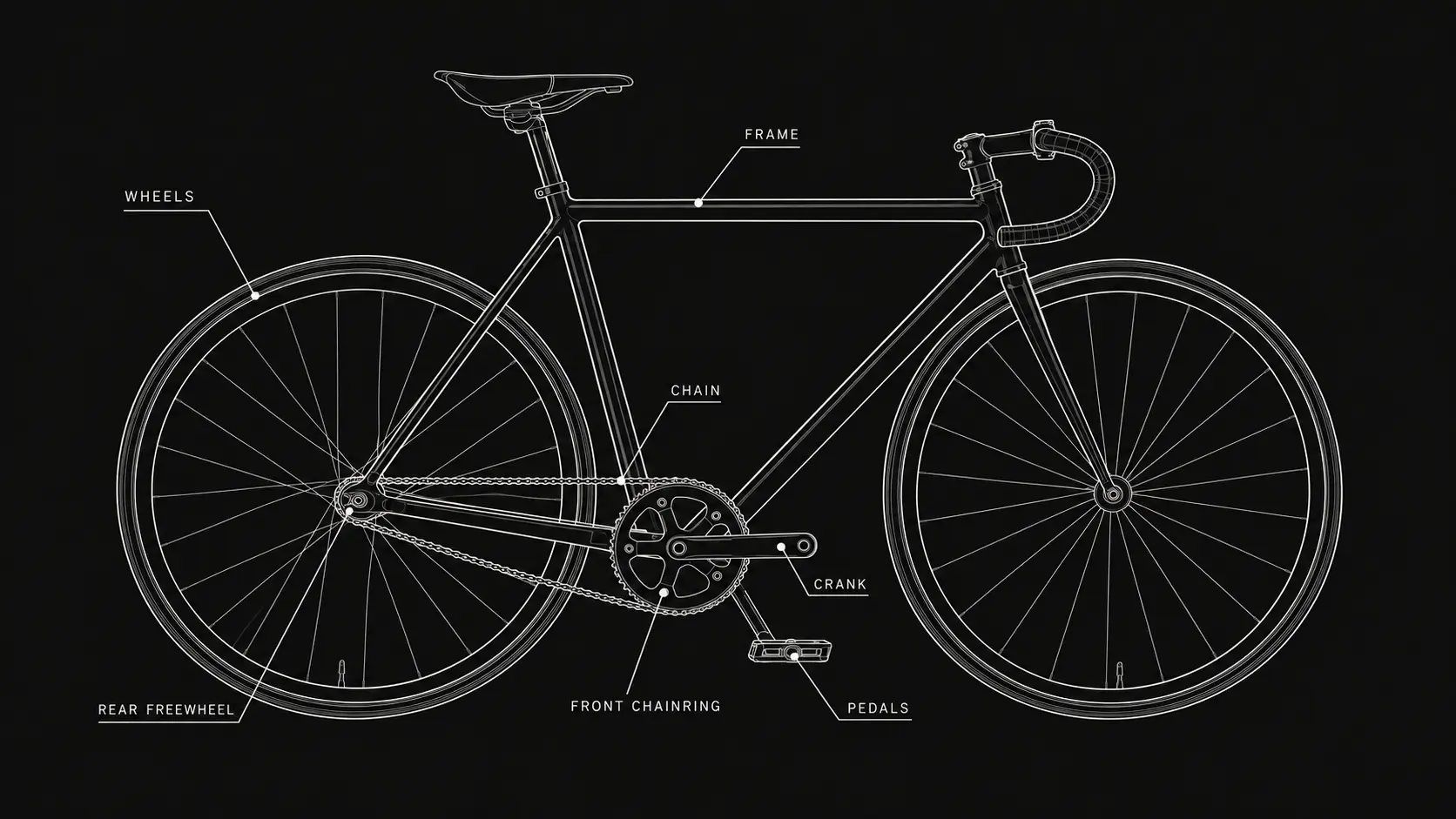 Single speed vs fixed gear drivetrain comparison showing the chainring, chain and rear freewheel
